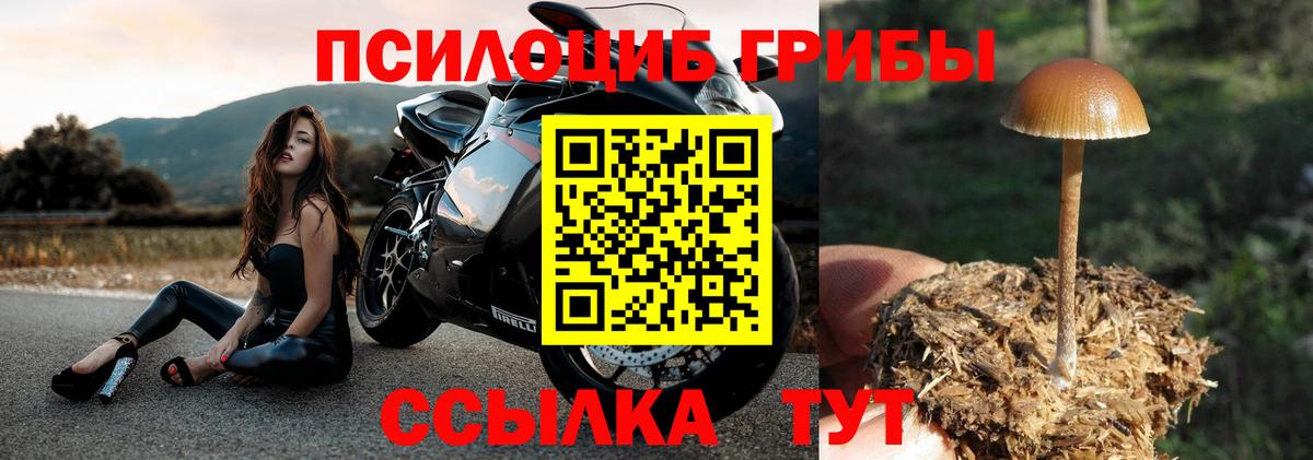 Галлюциногенные грибы GOLDEN TEACHER  Вход с VPN  Ростов-на-Дону 